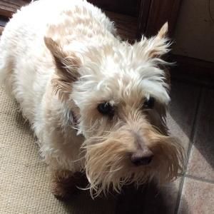 Meet your Posher, Terry